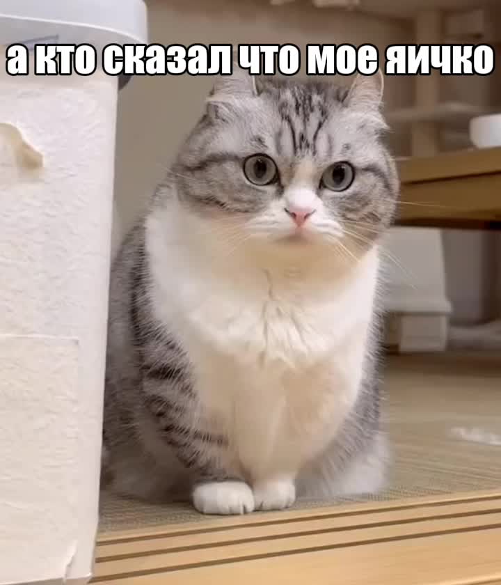 @Истории Комару @