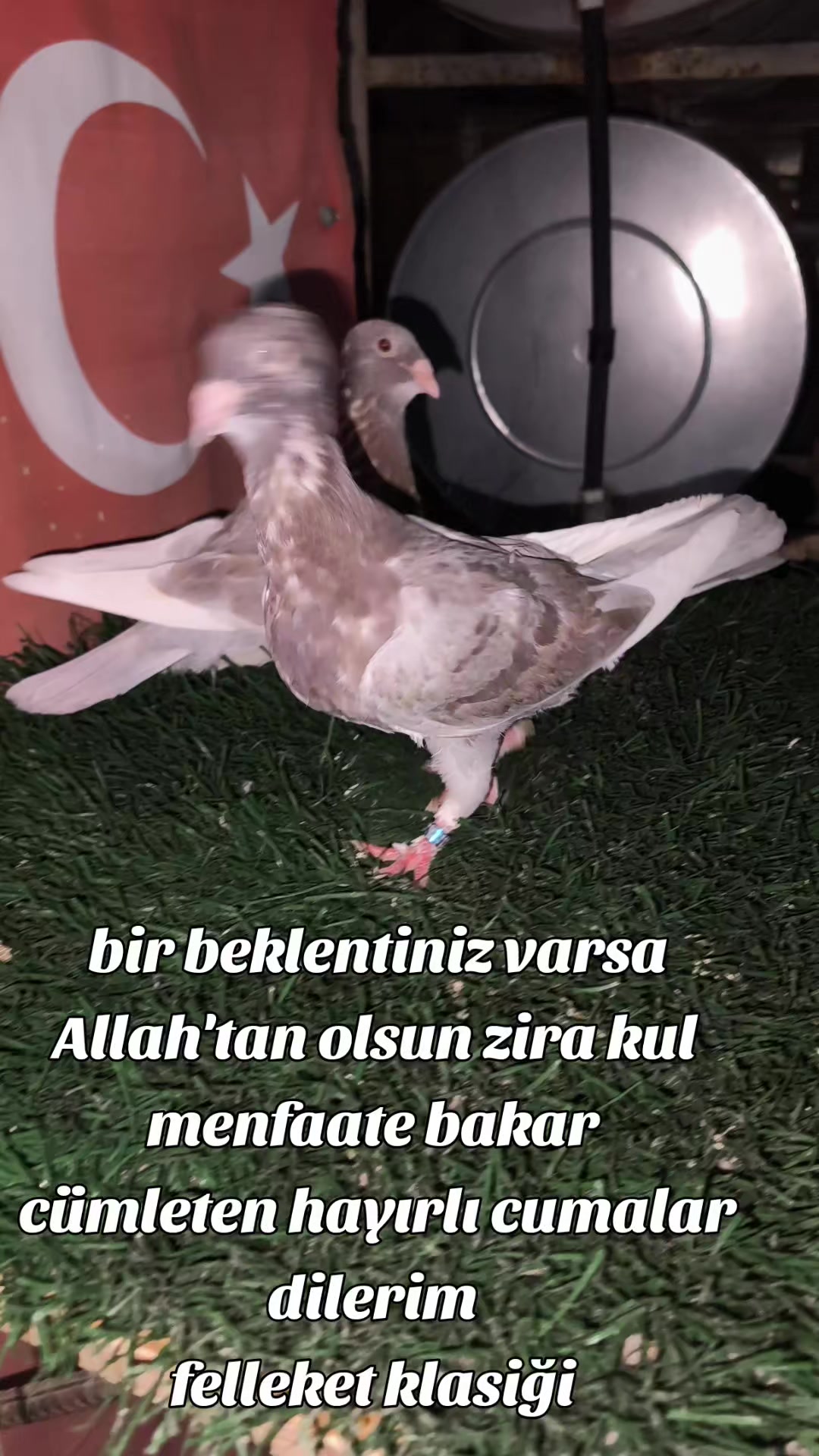 @0163Adanabatarkusu_federasyonu