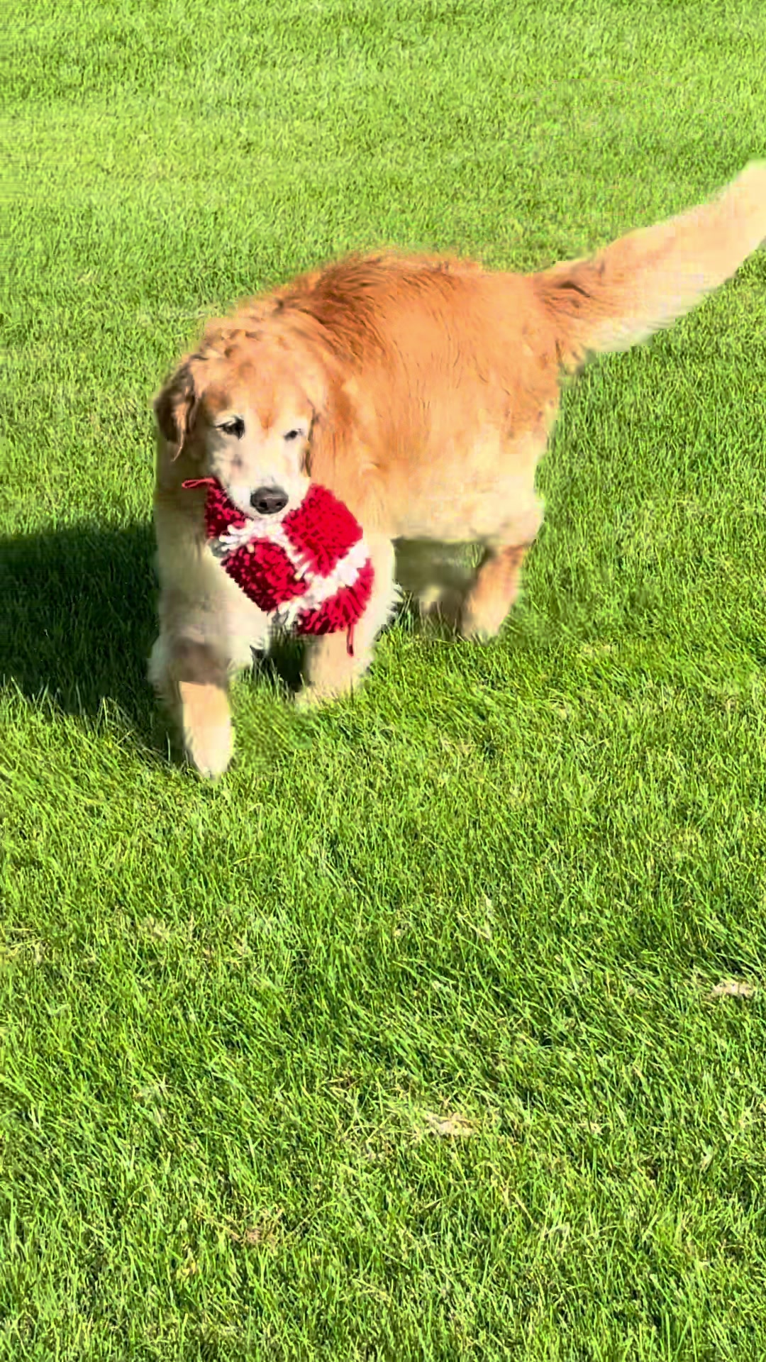 @Heather (Grace 🐾 & Finn🐾)