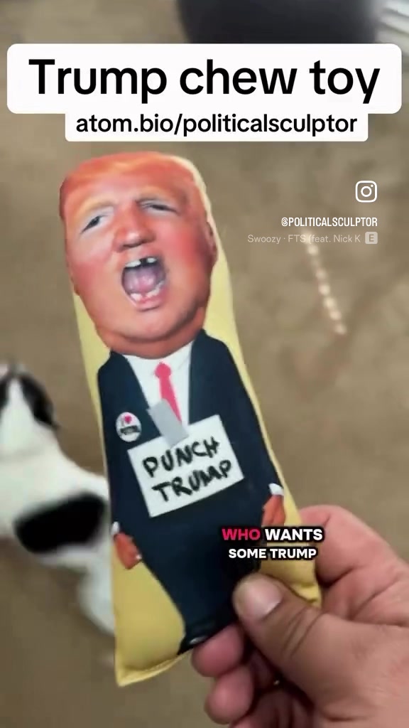 @politicalnuisance