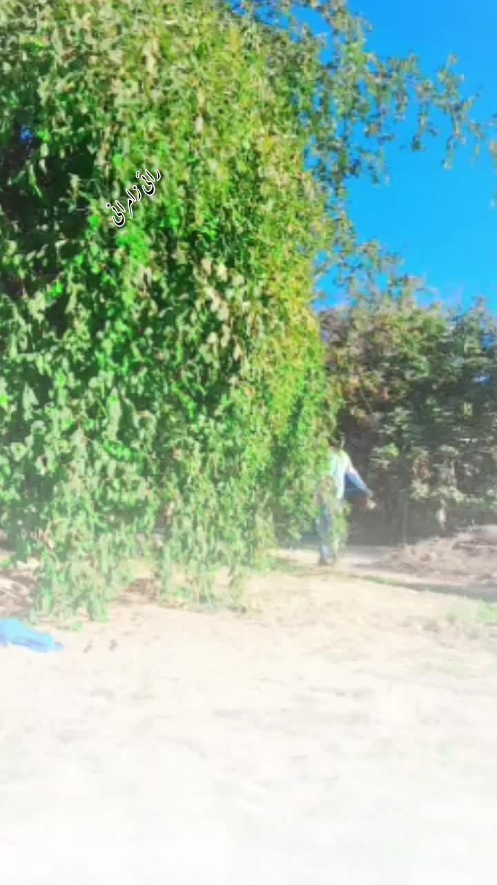 @Rahi zamurani
