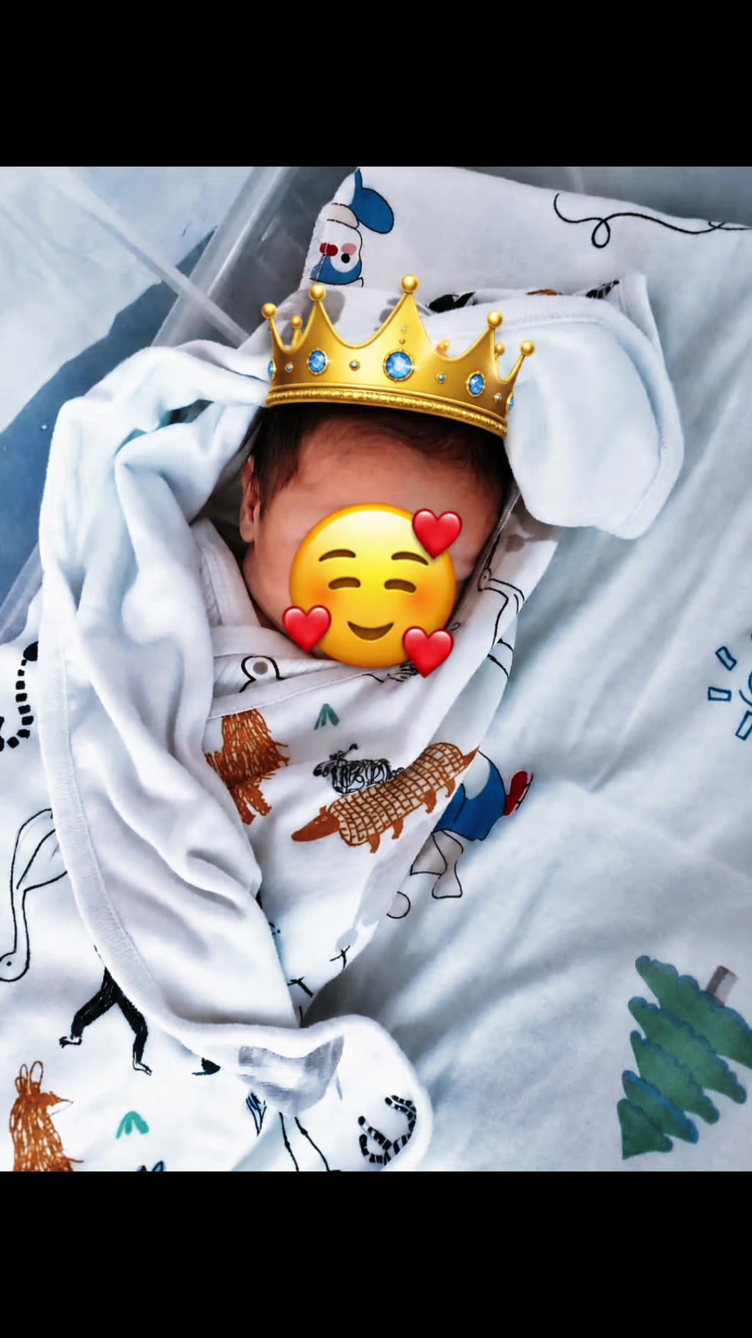 @👑 ẞęчĤø_MõЛôДøЙ 👑