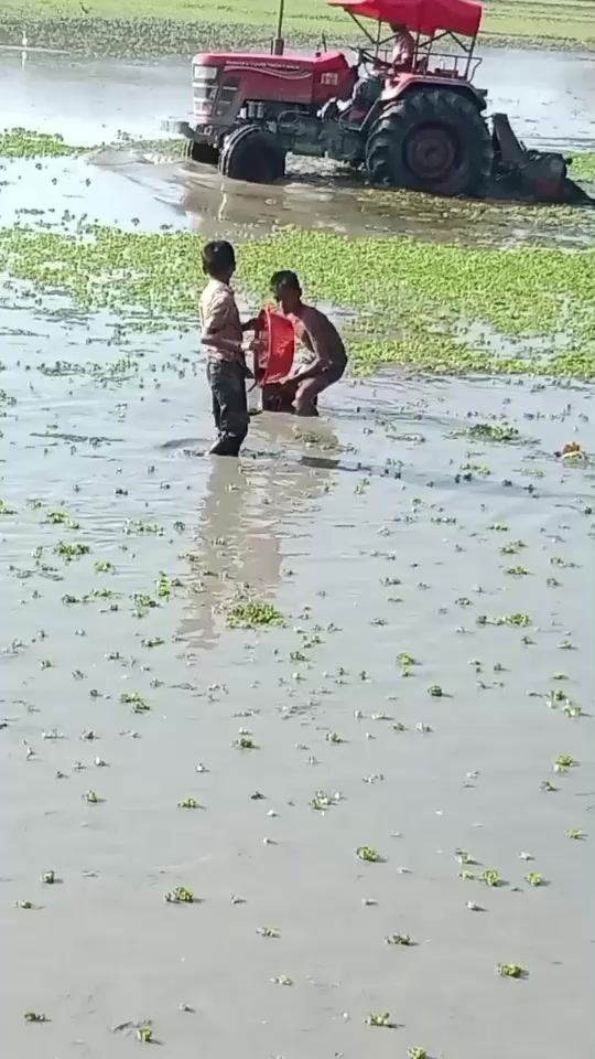 @md mainuddin11