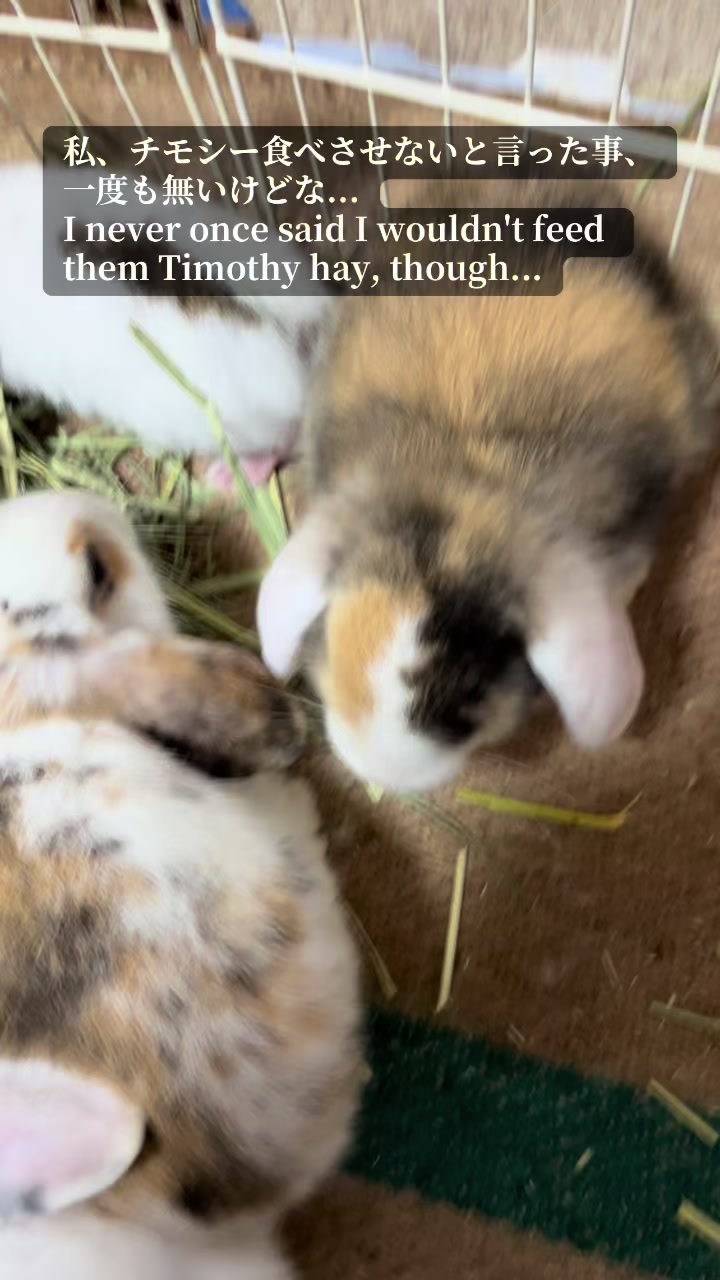 @billion_farm
