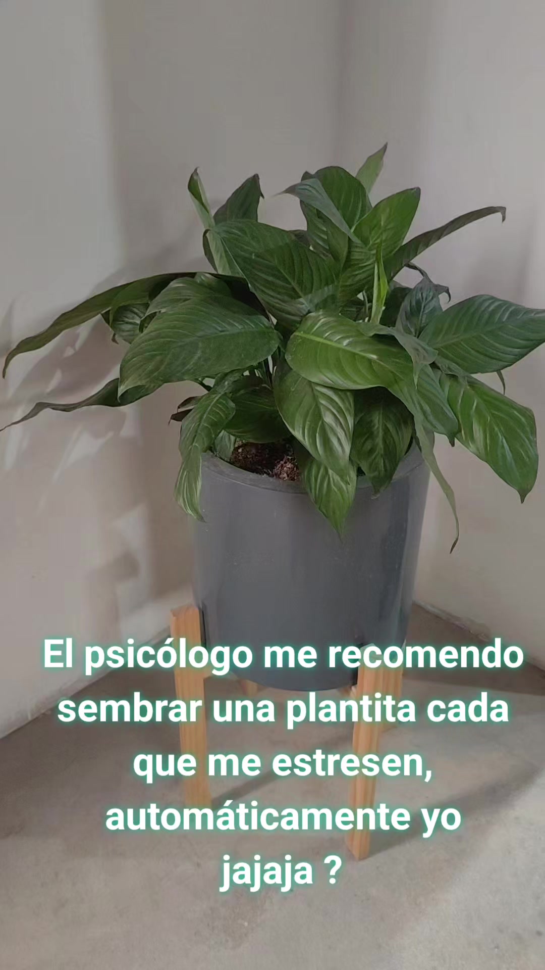 @ᘻᗩᖇᖻ