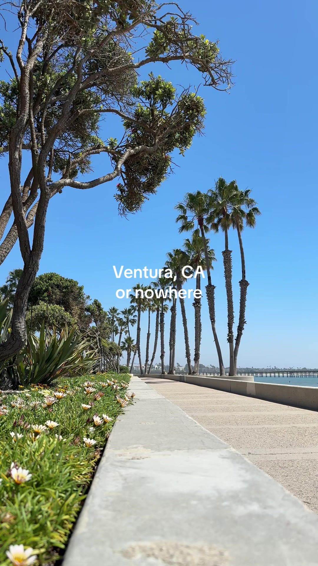 @Visit Ventura