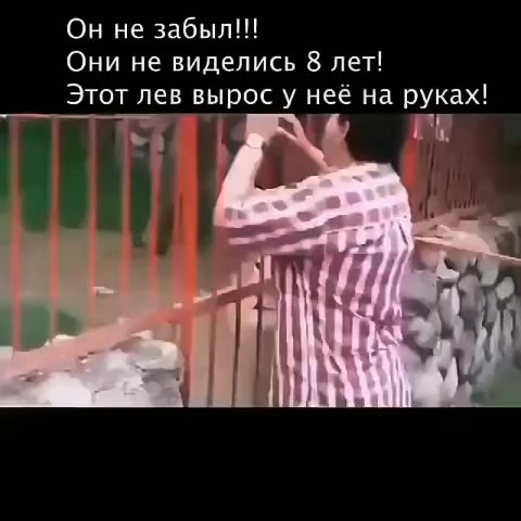 @Александр Олегович ✌️😎