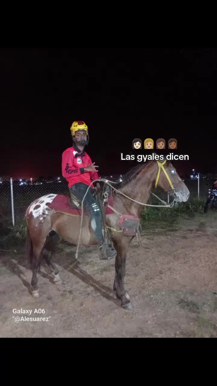 @JOSÉ DAVID