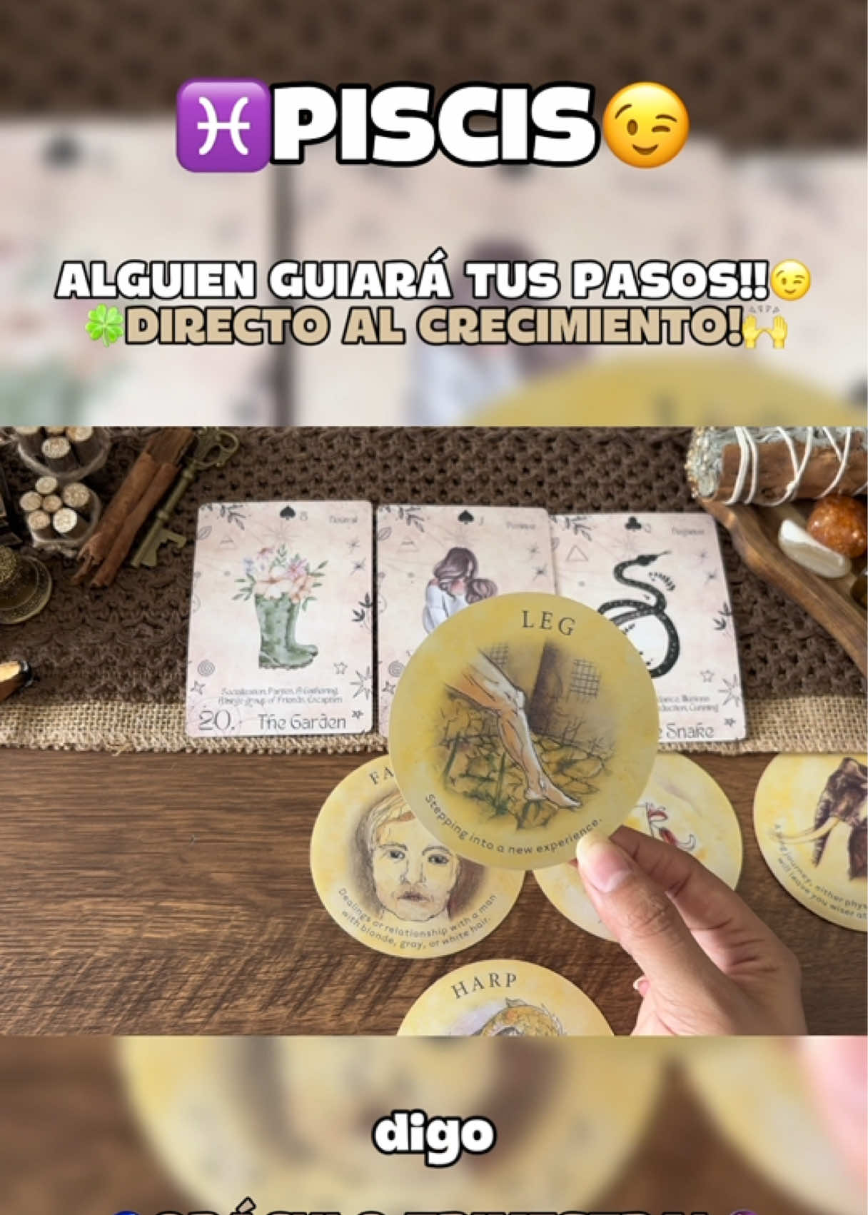 @Andy Sun Tarot ☀️