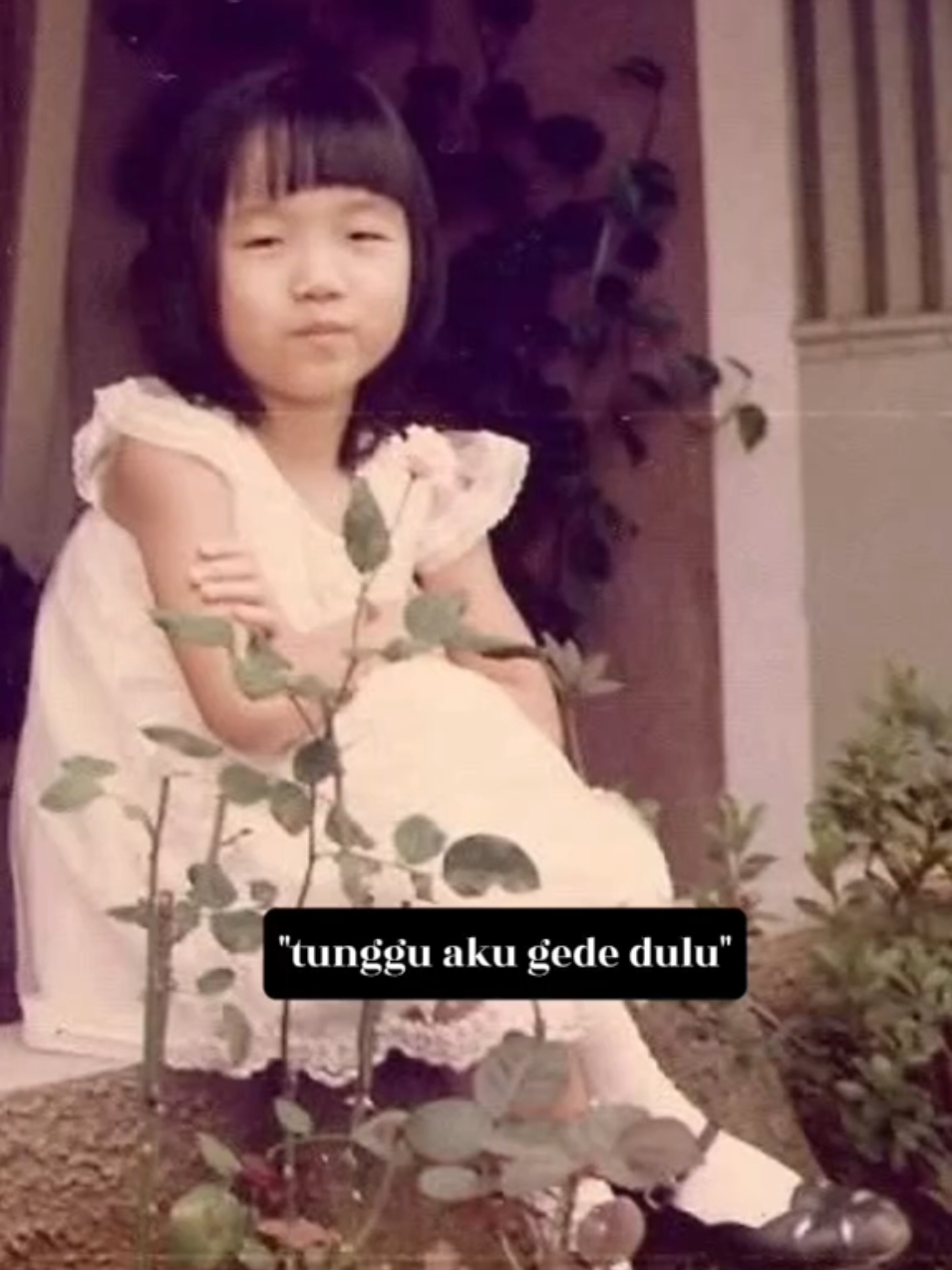 @Cici ratjun tiktok