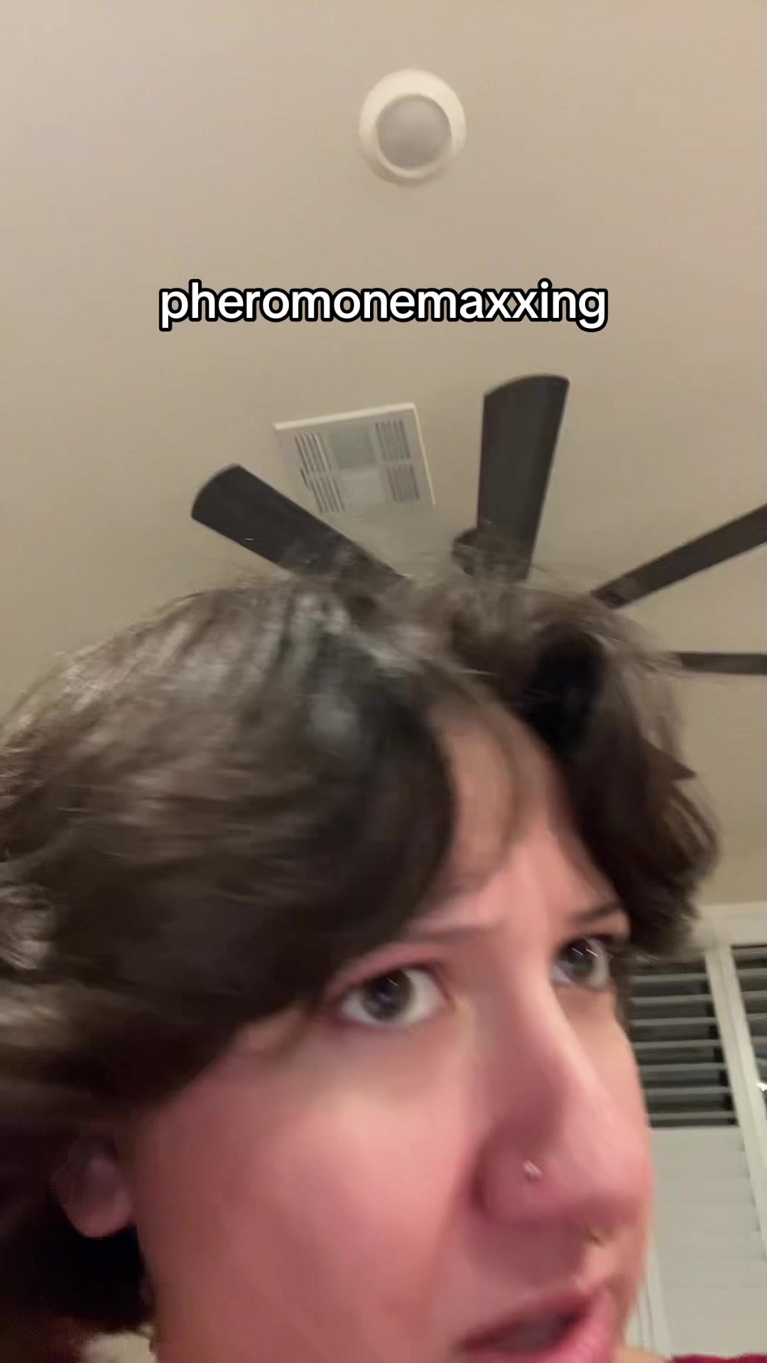 @avalisette