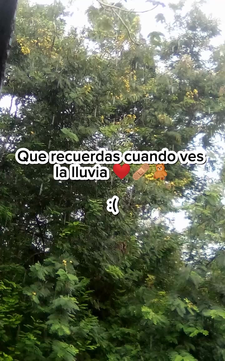 @🎨El universo del arte🎨