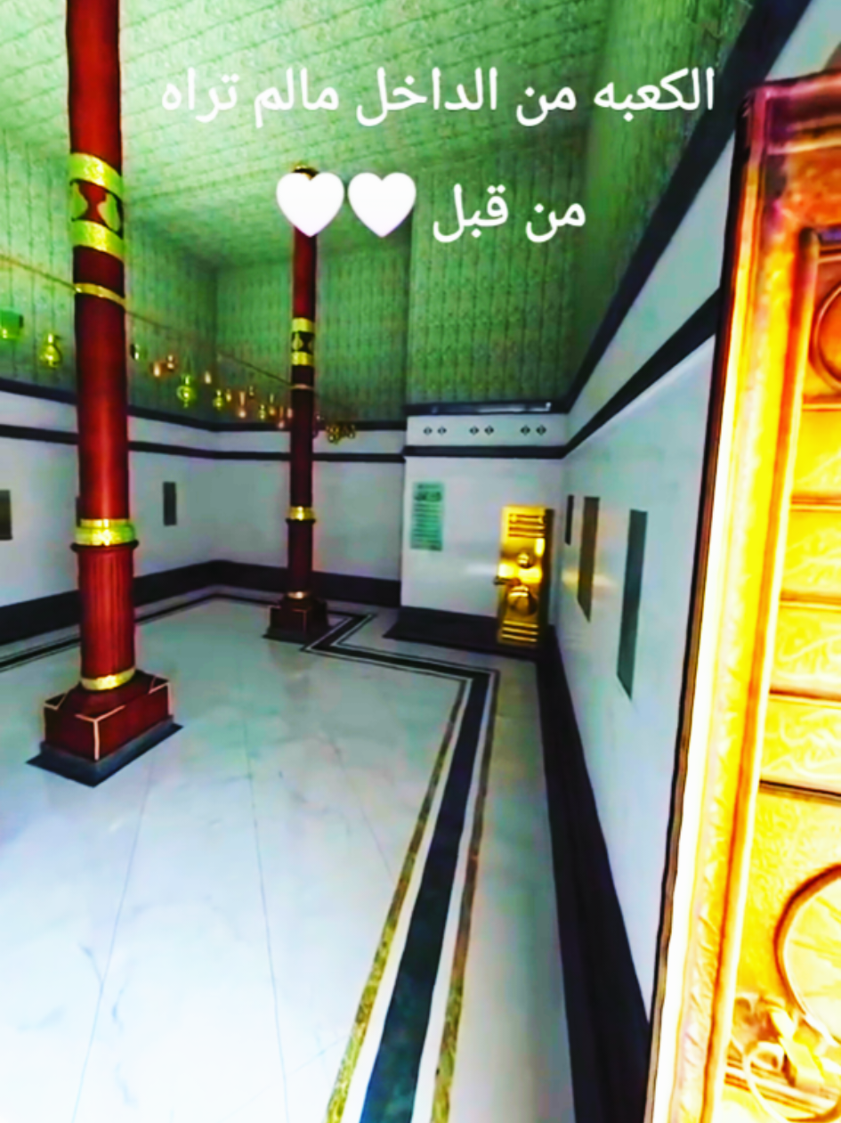 @Mohamed Negm