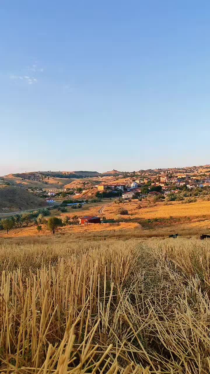 @Cemrehan Doyar