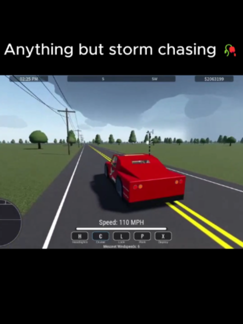 @TEAM STORM SURFER