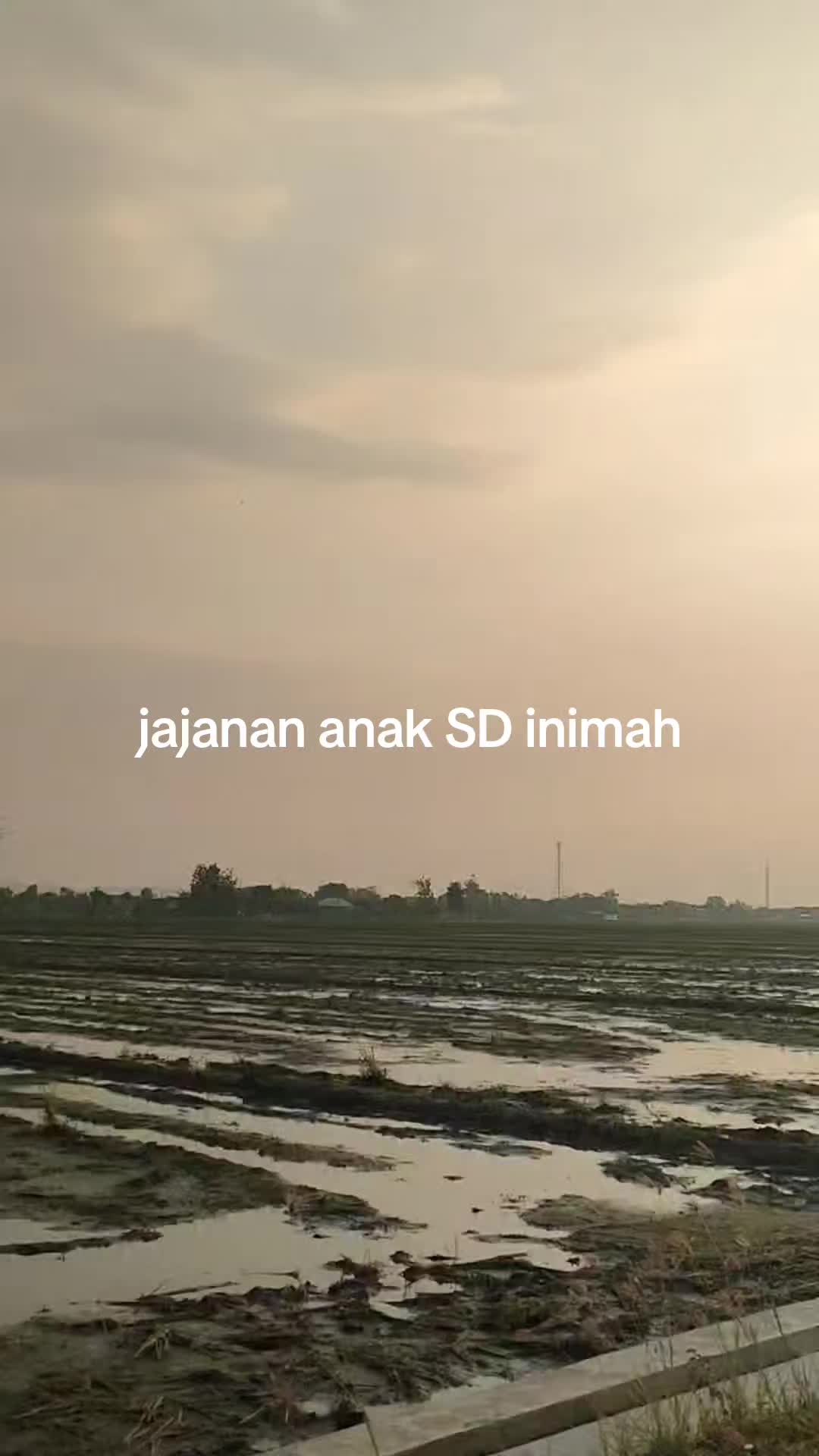 @pemulashopp