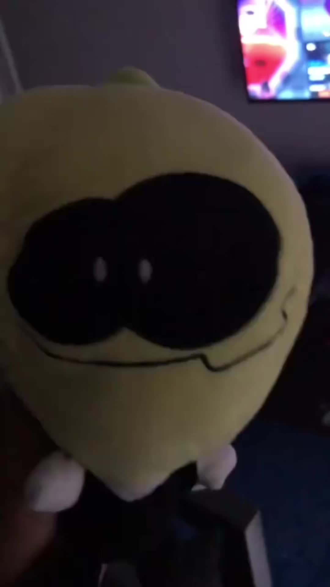 @birdothedog1930