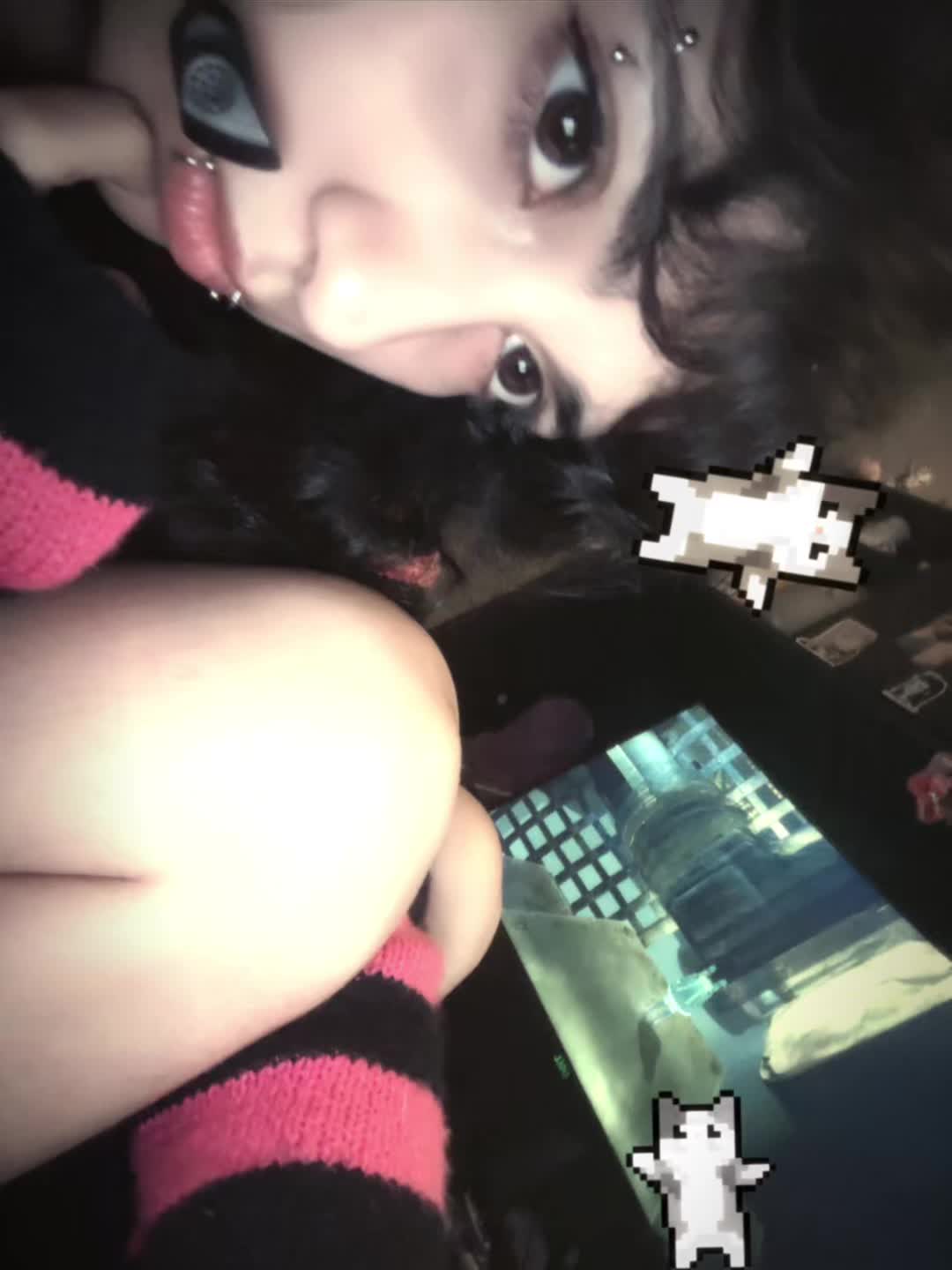 @nyanmuffin17