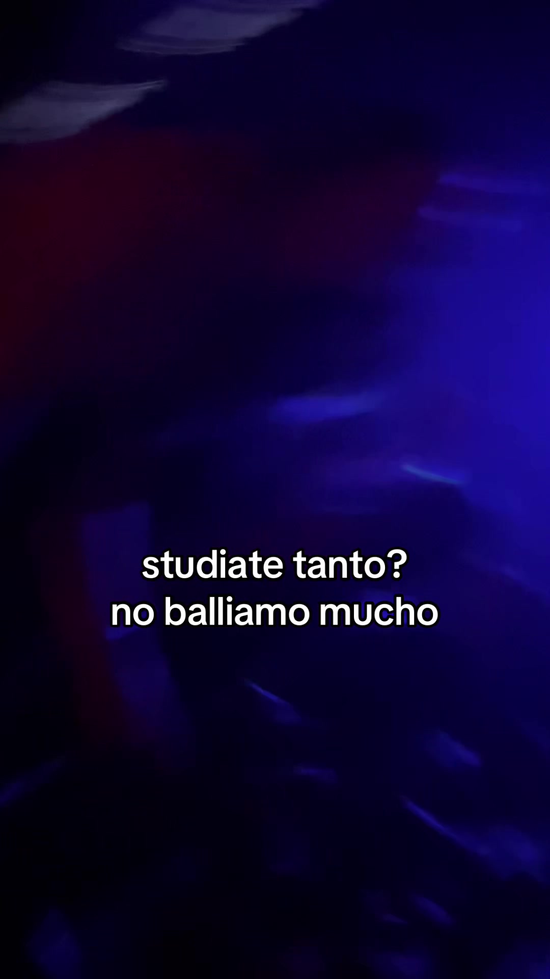 @ollimaddaspamm