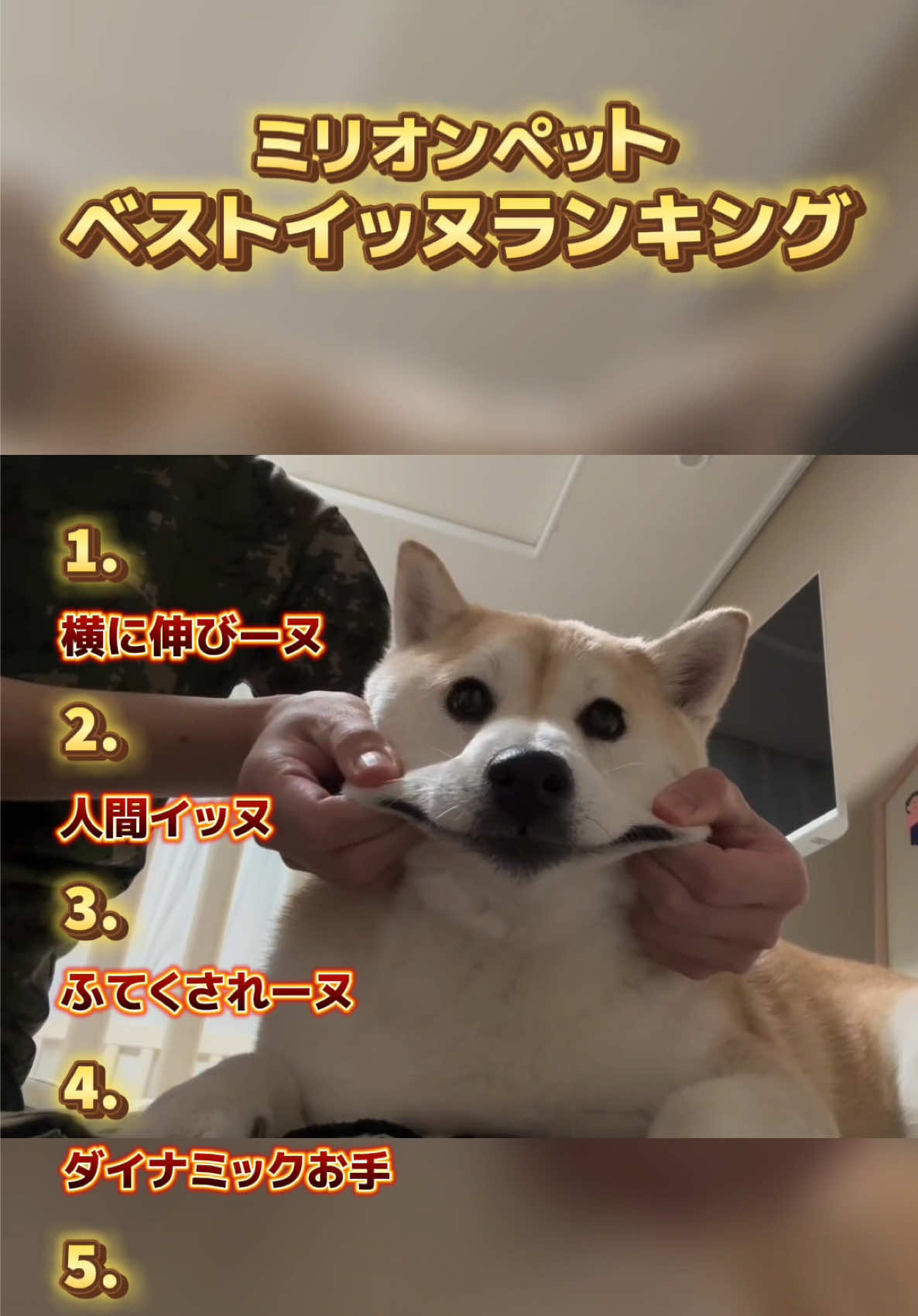 @ミリオンペット