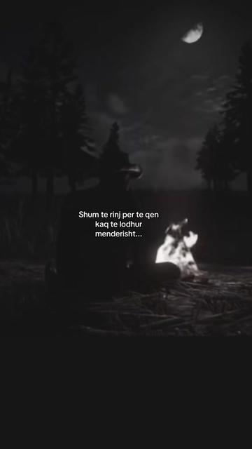 @𝐃𝐨𝐧𝐢  🖤
