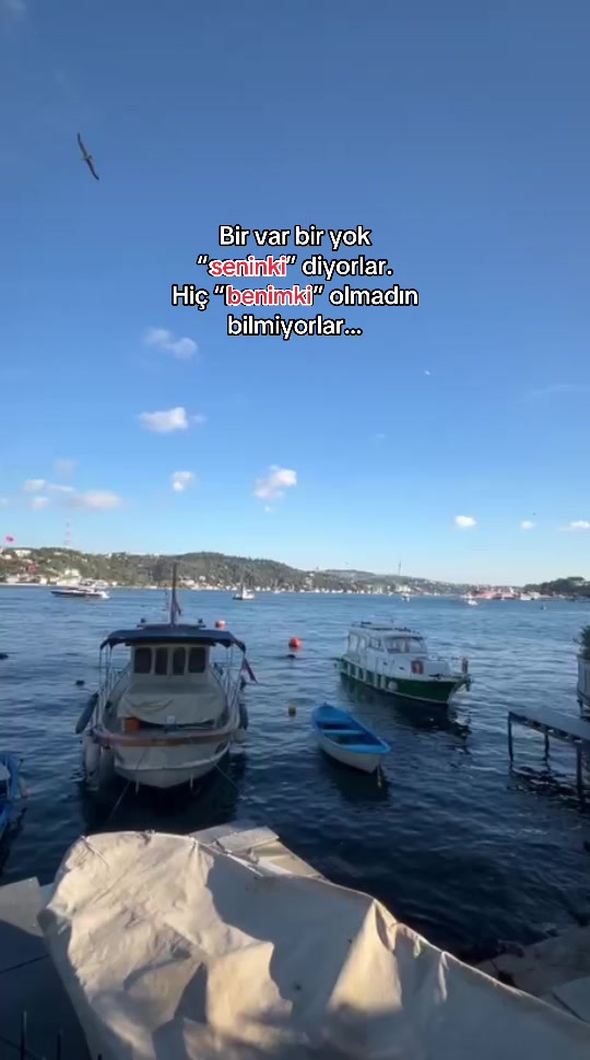 @al3ynassn