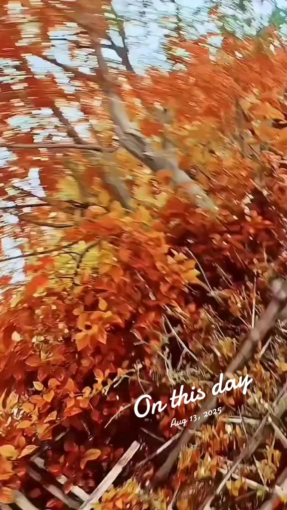 @课护乐式德 ❤️💓苏哈纳