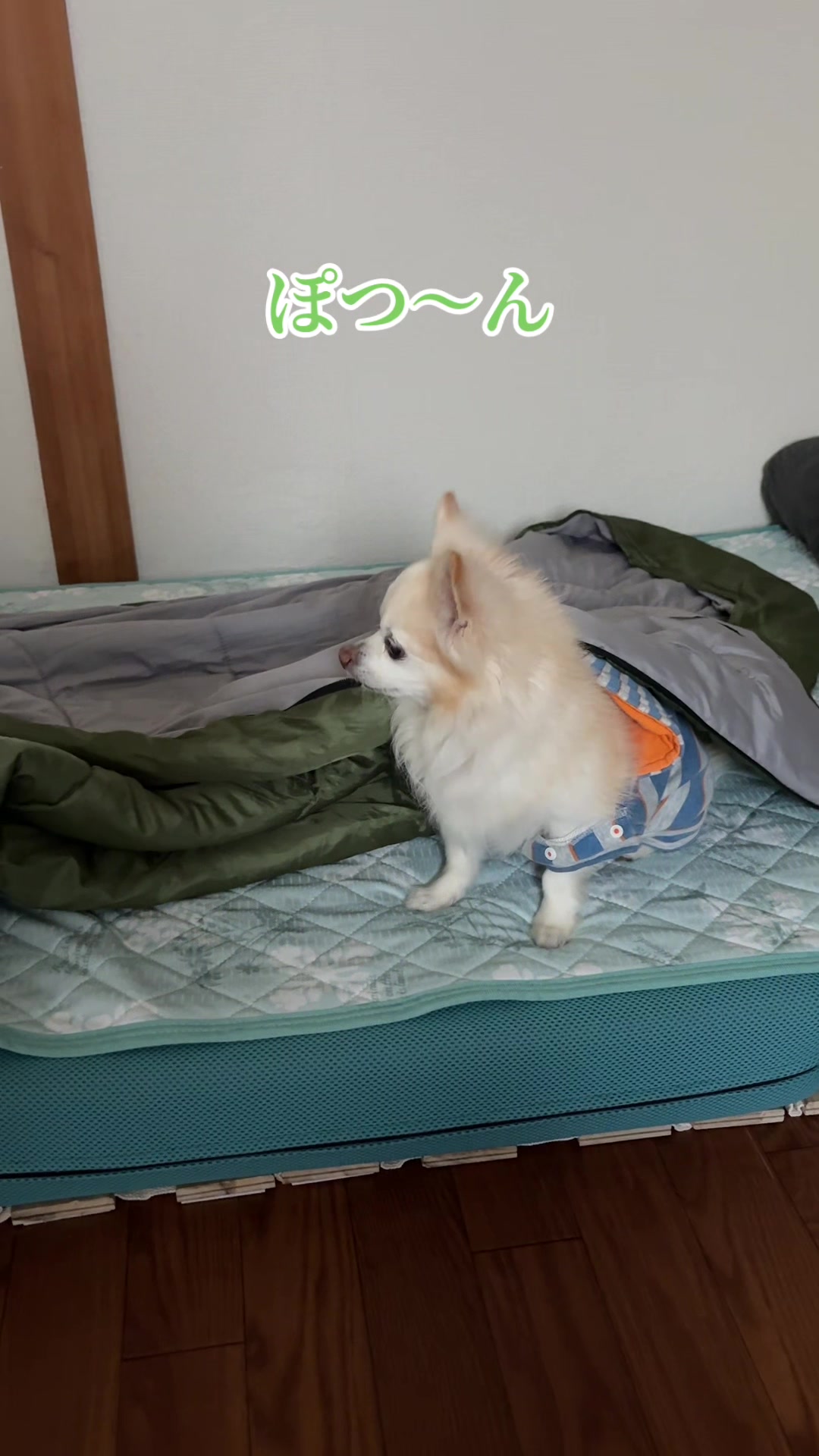 @࿗༺ 𝓚𝓪𝓽𝓾𝔂𝓪  ༻࿘