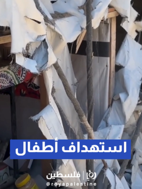 @Royapalestine رؤيا فلسطين