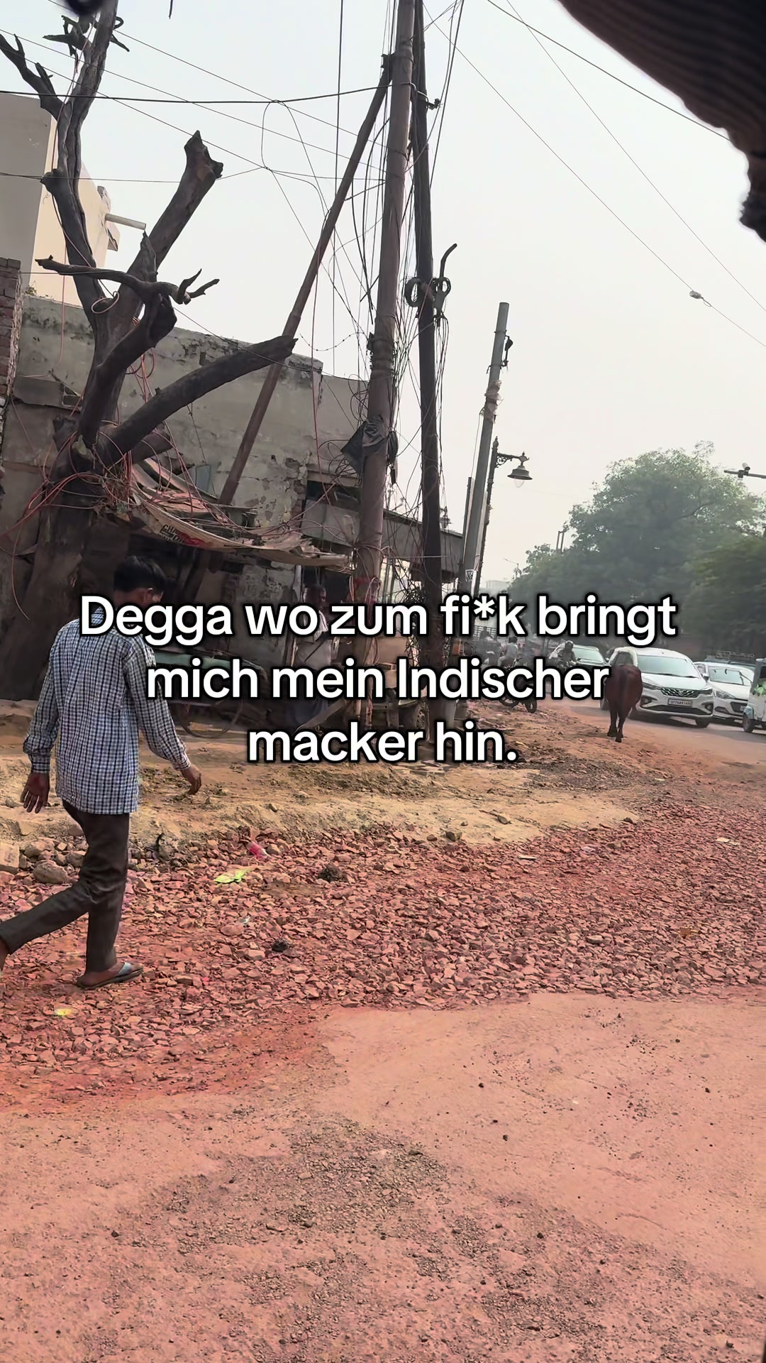 @Pauli