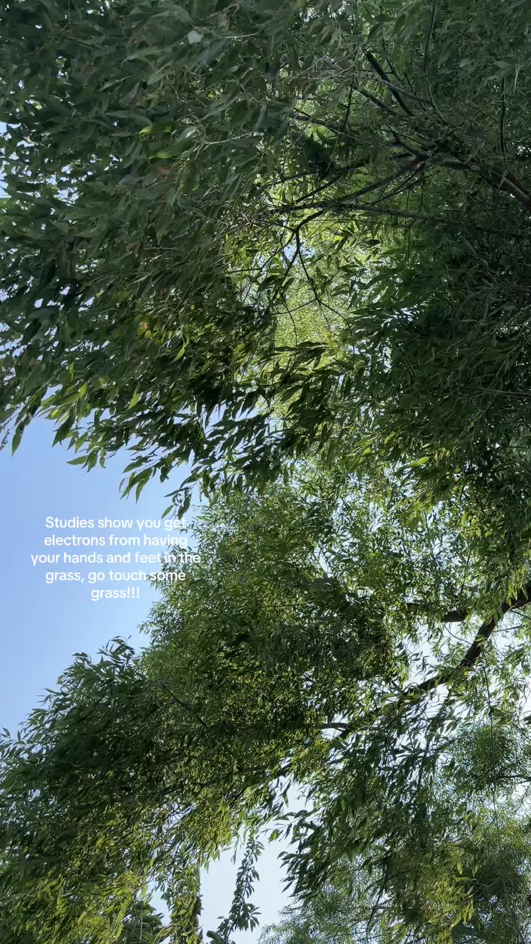 @Alex🤟🏻