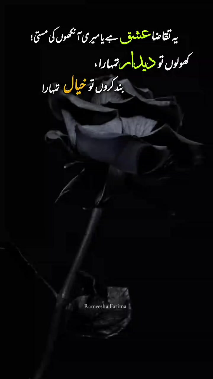 @Rameesha Fatima