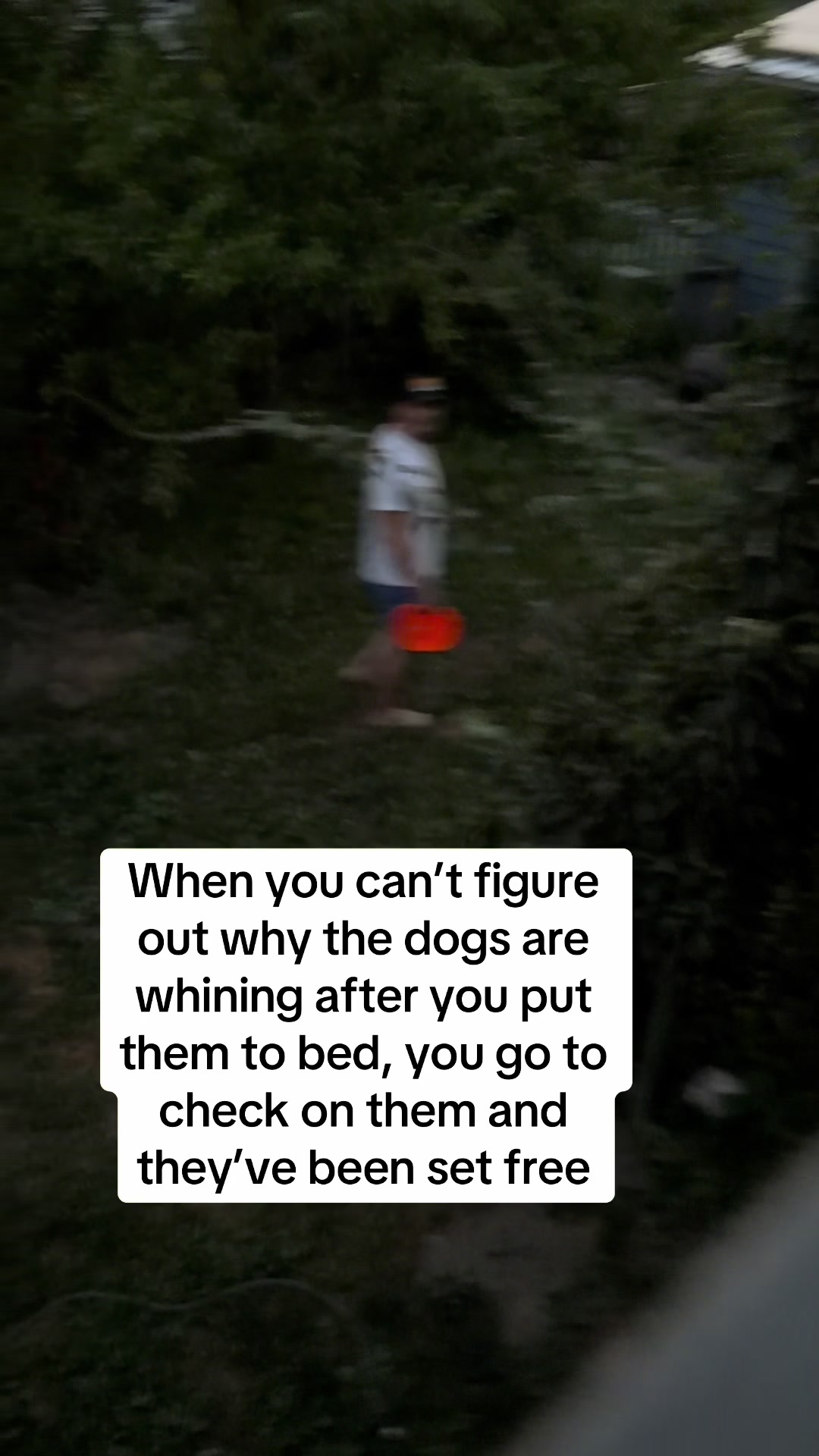 @Stacy Van Horne