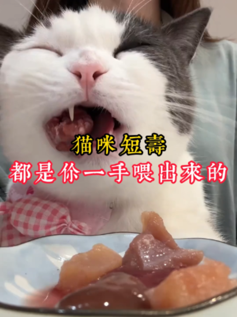 @catology
