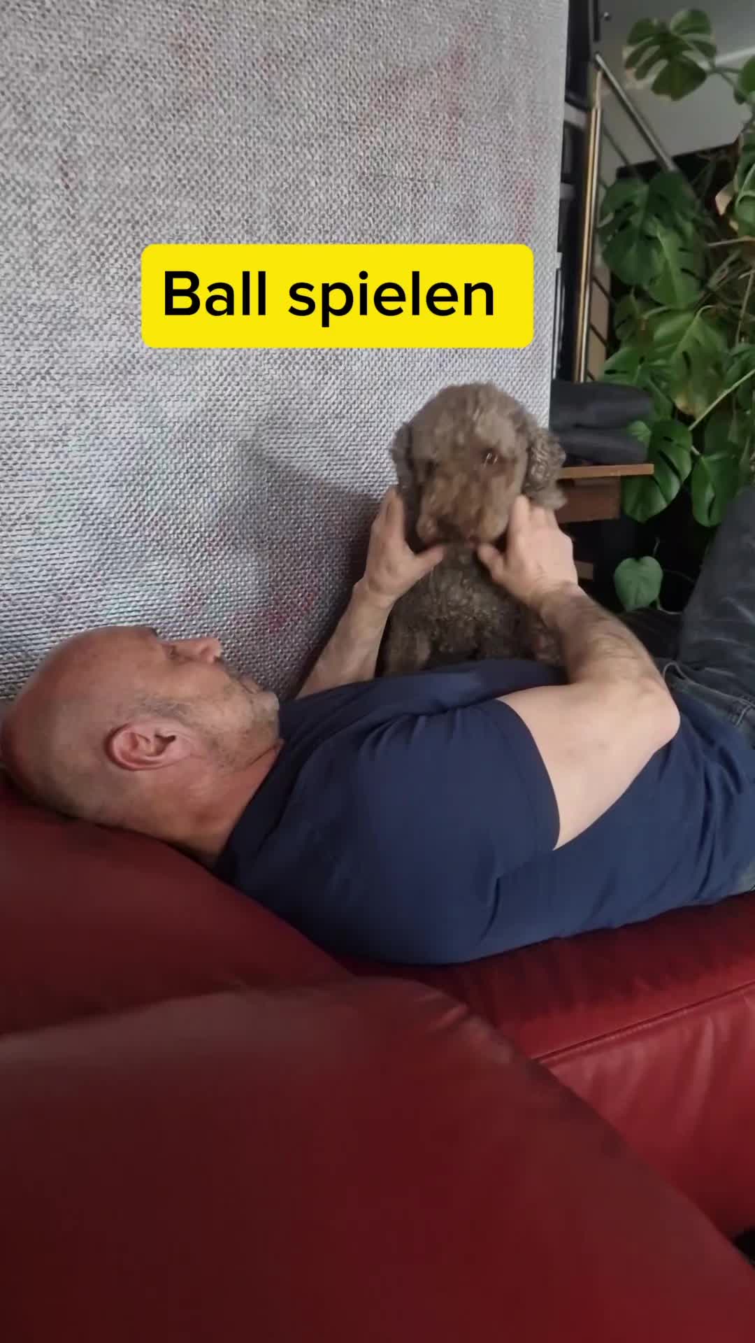 @Folienmarkt GmbH