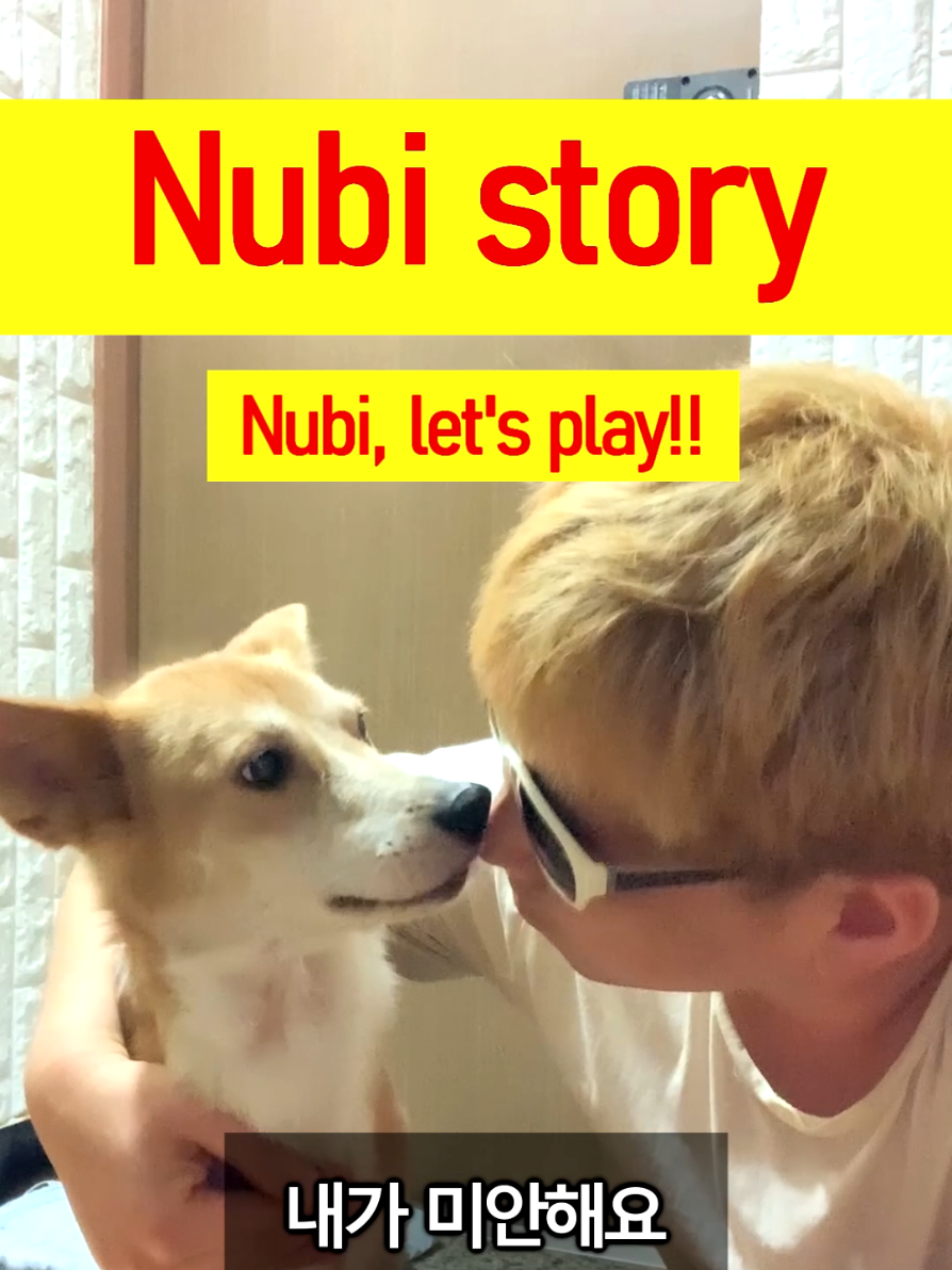 @누비★스토리 Nubi story