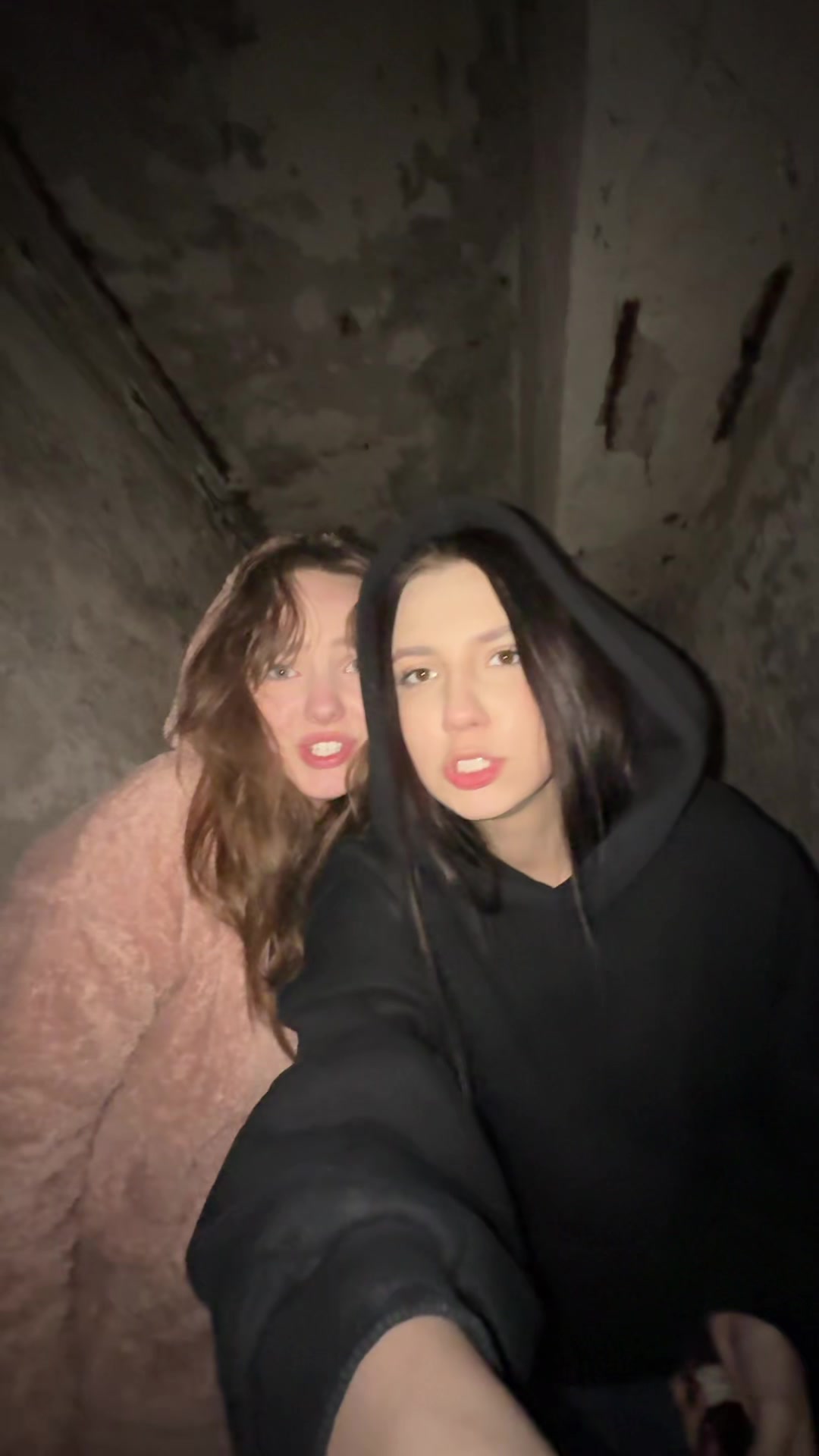 @кошка