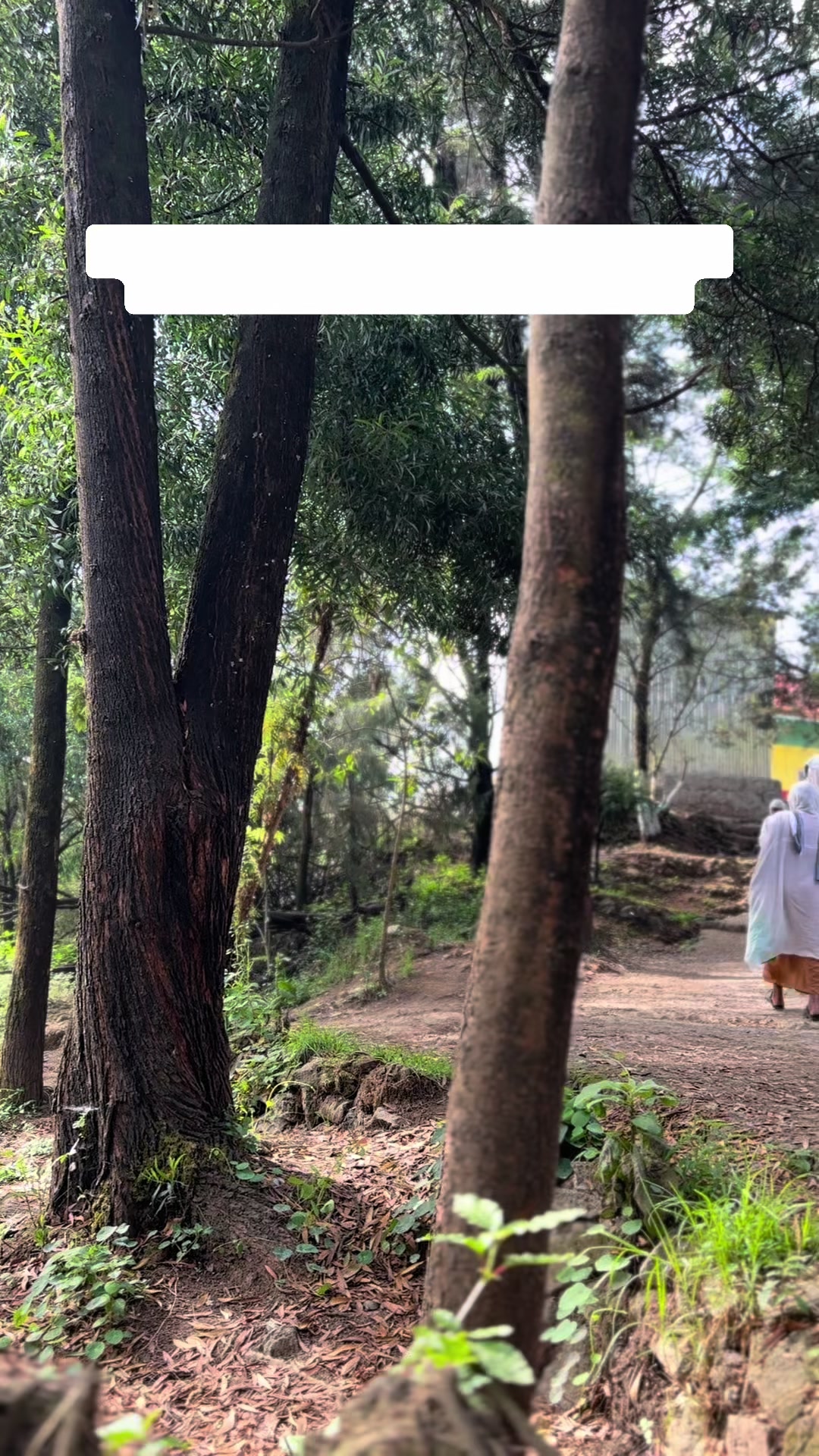 @ሳራ✨
