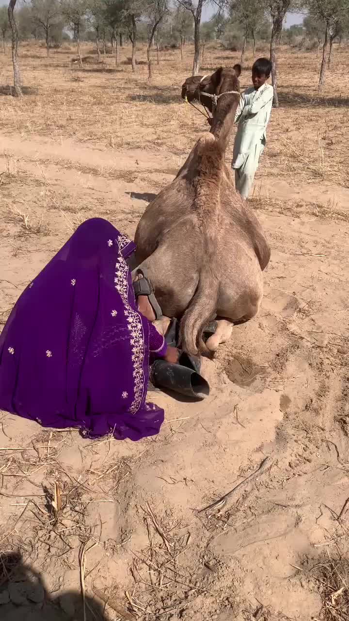@Sakina 🐪