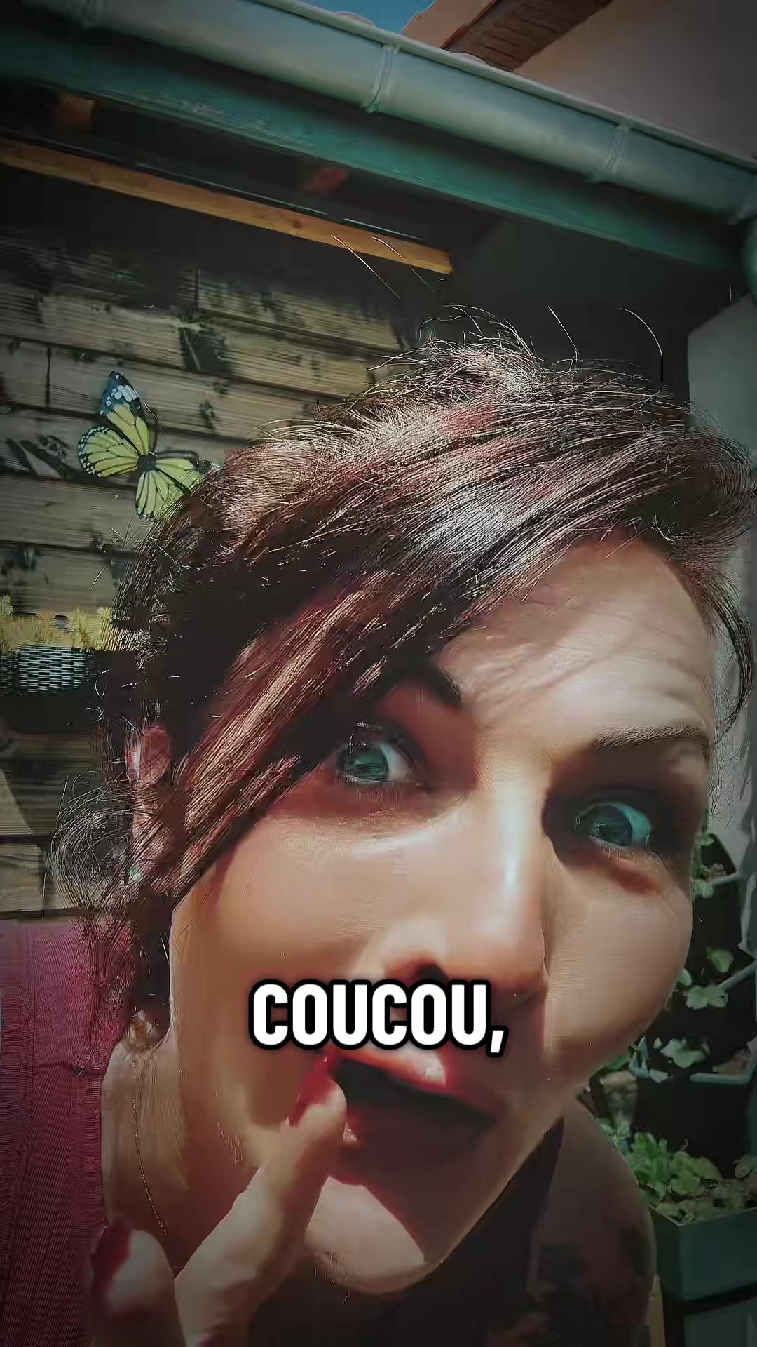 @💛😂 -{𝑪𝒉𝒂𝑪𝒉𝒂}- 😂💛