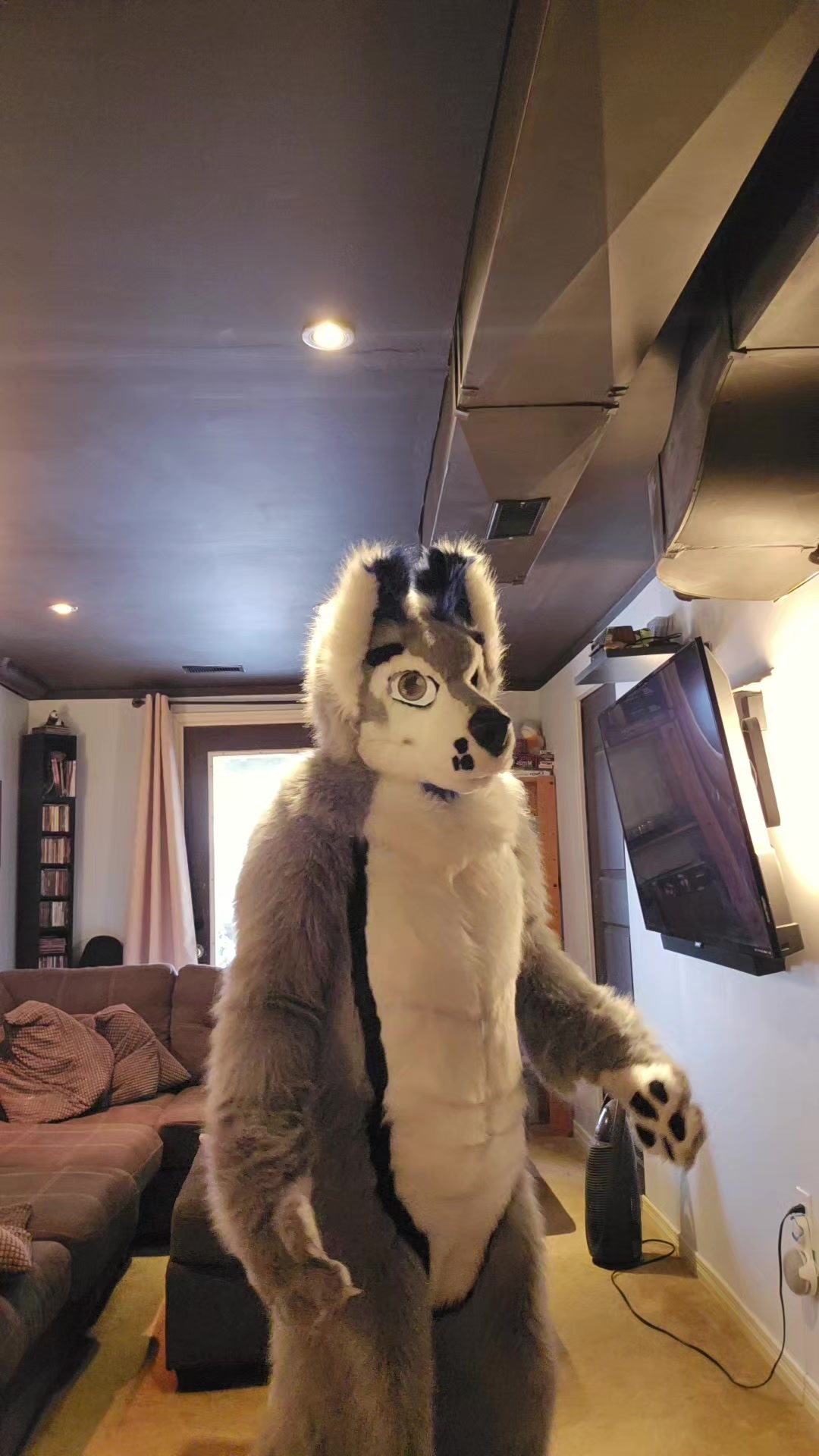 @muttsi