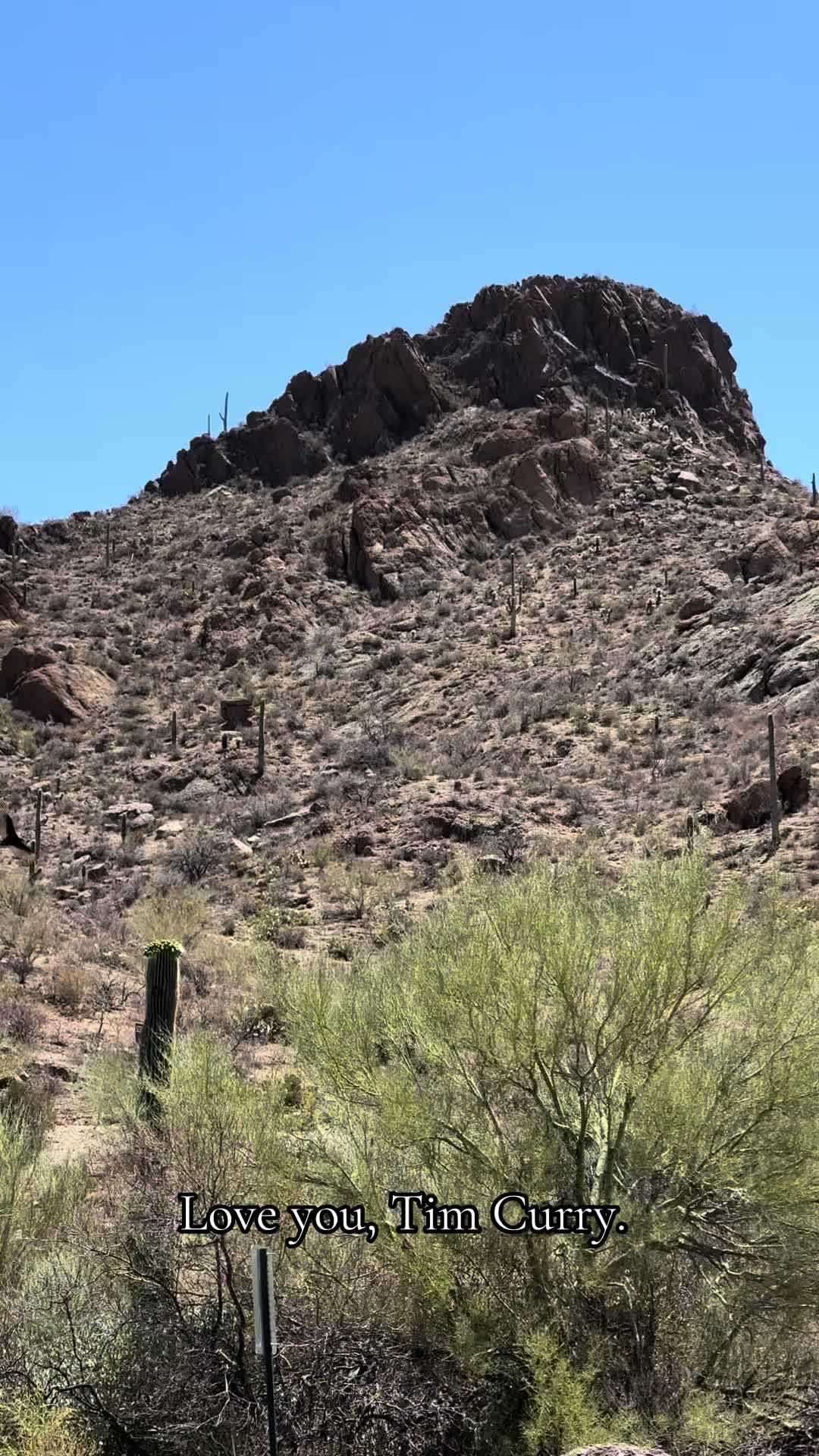 @Jewel of the Desert