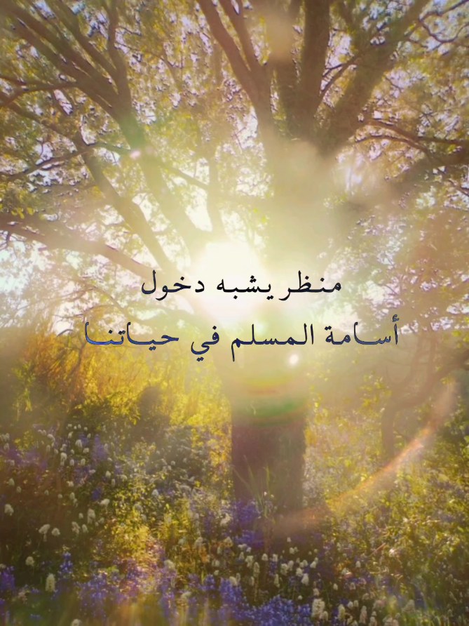 @وهج الغرانيق 🪻💜