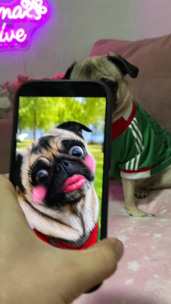 @Emma la Pug
