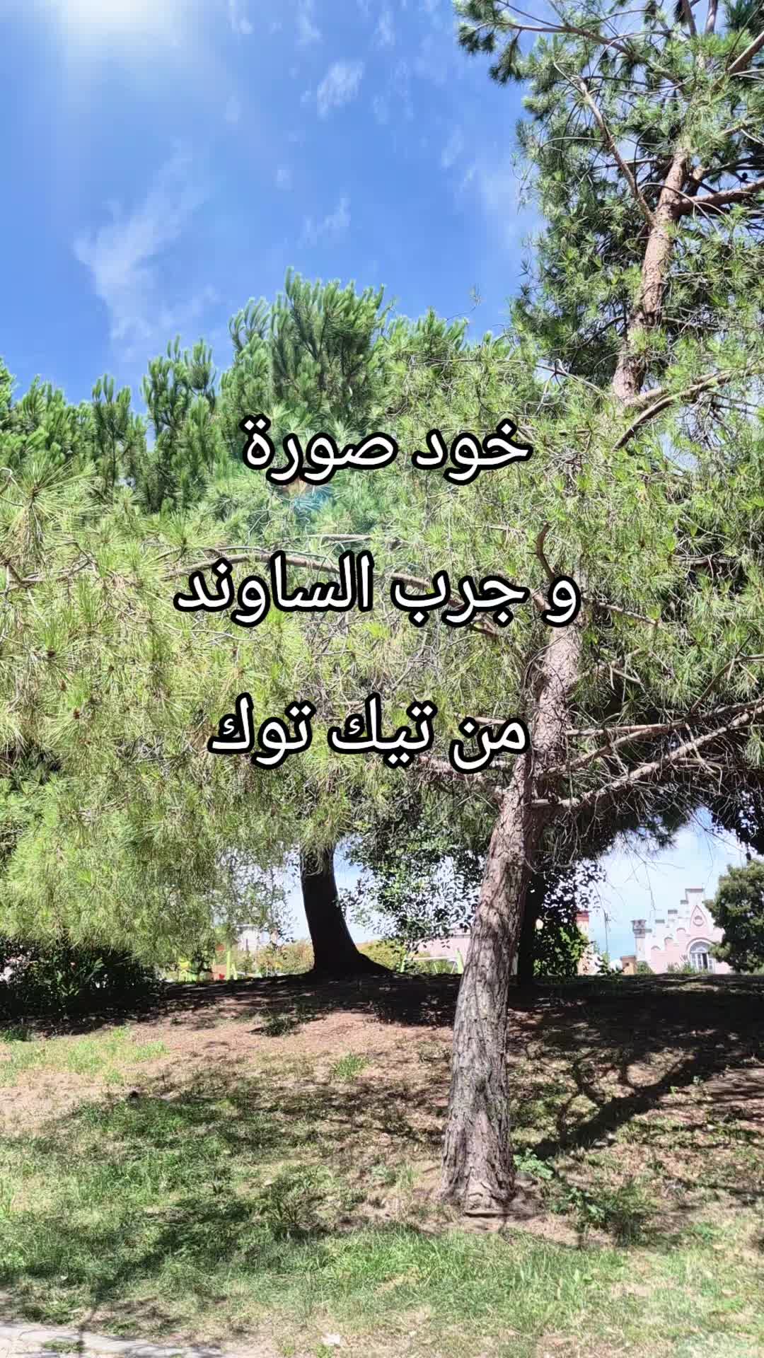 @Taheer