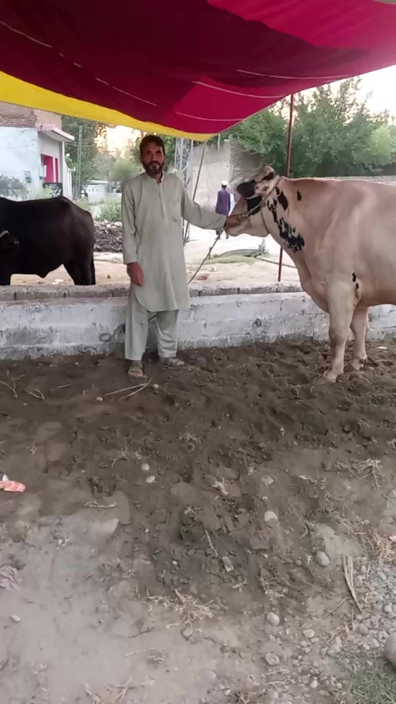 @user6891135715987