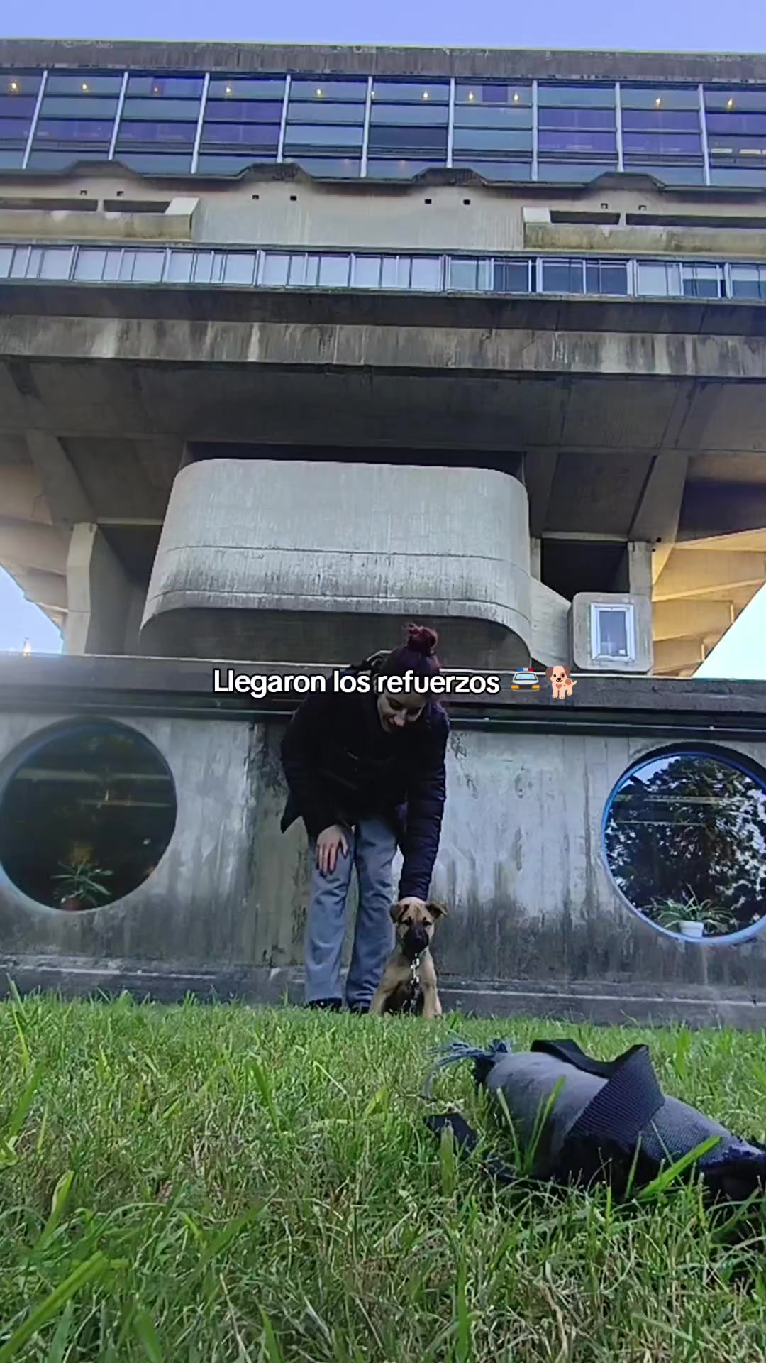 @ragnarito