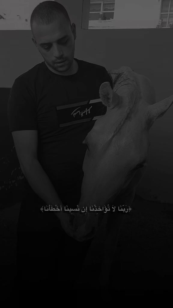 @🐎عوده لتوزيع مستلزمات الخيو🐎