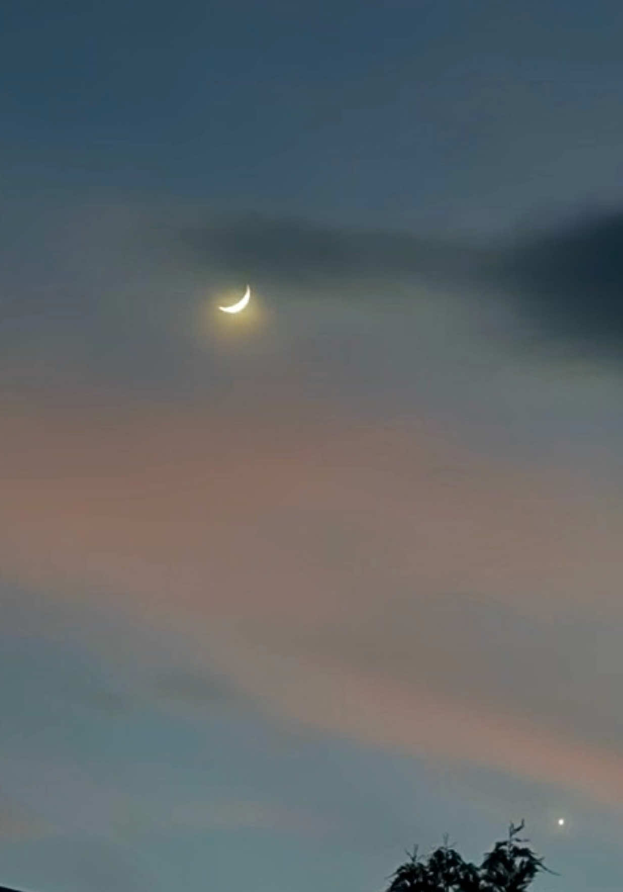 @moontaless