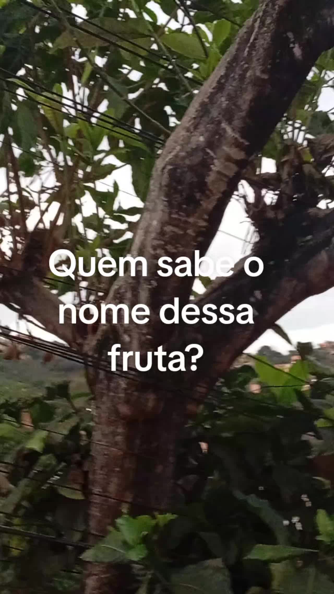 @Aparecida Batista